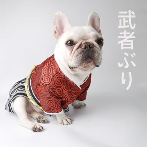Samurai suit pitbull dog clothes jacket cute clothes dog accessories warrior suit dog supplies pets french bulldog puppy