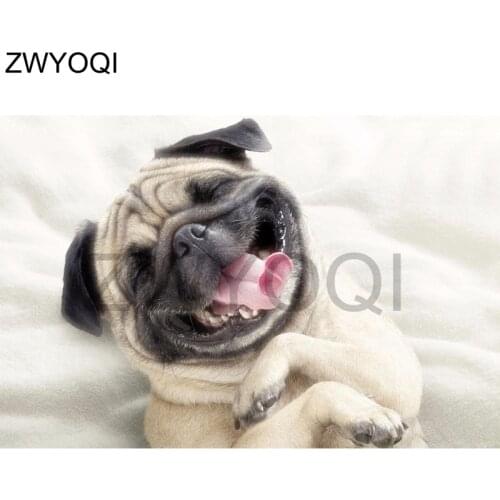 DIY 3D Diamond mosaic Cute dog Full Square Diamond painting Cross stitch Cute dog Spoiled Full Round Diamond embroidery Cute dog