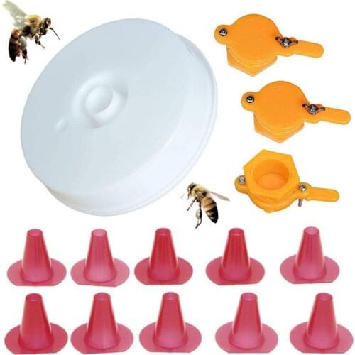 Beekeeping Tool Set Plastic Round Bee Water Feeder Honey Gate Bee Escape Tool Useful Cone Bee Beehive Nest Beekeeping Equipment