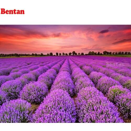 5D Diamond Painting Full Drill square Lavender sunset the landscape Picture Of Rhinestones Diamond Mosaic Cross Stitch kit Decor