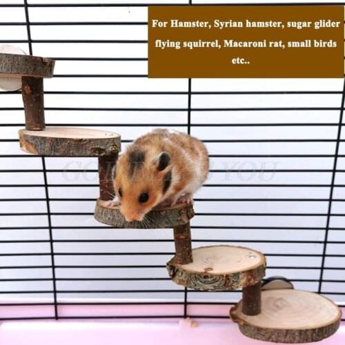 Wooden Parrot Hamster Climbing Ladder Stairs Birds Exercise Perches Stand Platform Teeth Care Molar Toys Cage Drop Shipping