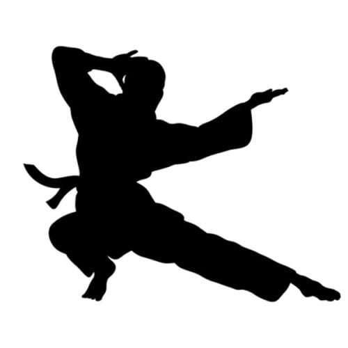 Karate Kick Sticker For Car Rear Windshield Truck SUV Bumper Auto Door Laptop Kayak Art Vinyl Decal CL356