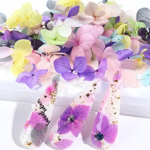 100pcs 3D Dried Flower Nail Decoration Natural Eternal Floral Petal Japanese Design Preserved Dry Flower Nail Accessories SA1505
