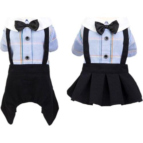 Changer De Vie Dresses For Dogs