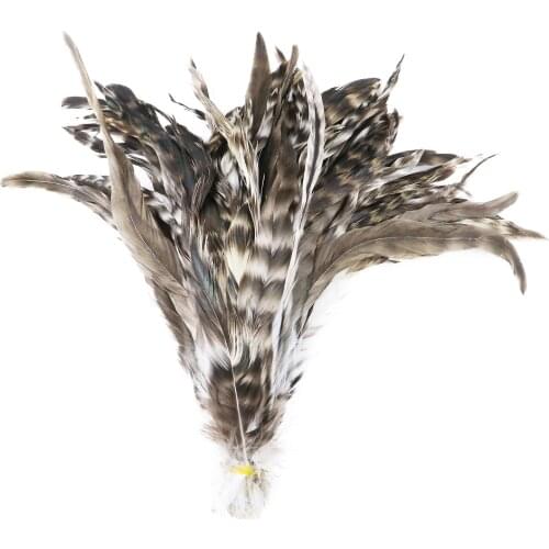 50pcs Natural Chicken Feather Knitting Decorative Feather 25-30cm/10-12 inch Stage Costume Wedding Rooster Plumes Crafts