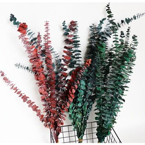 50cm Length Boutique A-level Immortal Flower Eucalyptus Flower Home Wedding Holiday Party Decoration