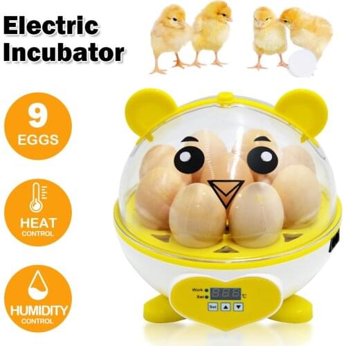 220V Egg Incubator Farm Incubation Tool Digital Temperature For Chicken Duck Incubator Mini Yellow Incubation Device