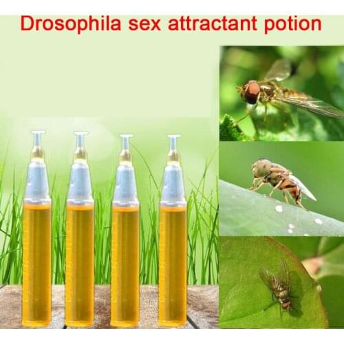 Hot! 10pc Fruit Fly Attractant Trap Bait Beekeeping Beehive Tool Repellent Supplies