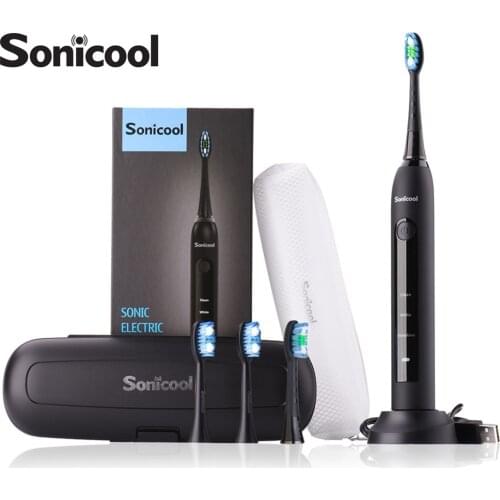 Sonic Electric Toothbrush Tooth brush 051B USB Rechargeable adult Waterproof Ultrasonic with Travel case Replacement Heads Set
