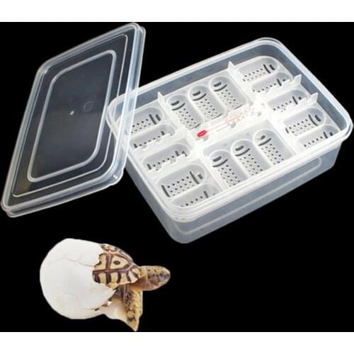 Incubation Box Pet reptiles 16 Grid Eggs Breeding Box Incubator Easy to store Pet Accessories mascotas