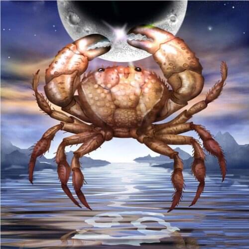 Full square diamond painting crab animal embroidery mosaic stickers diamond dotz rhinestone picture puzzle drawing wall decor