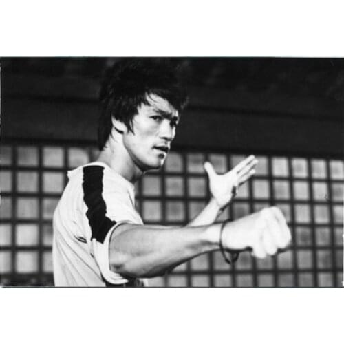 Lot Style Choose Bruce lee Chinese Kongfu Hot Movie Art Print Silk Poster for Your Home Wall Decor 24x36inch