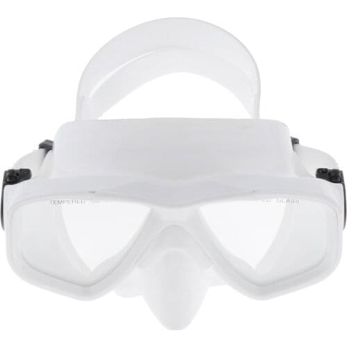Anti-fog Diving Goggle Snorkeling Glasses Anti Pressure Swimming with Box
