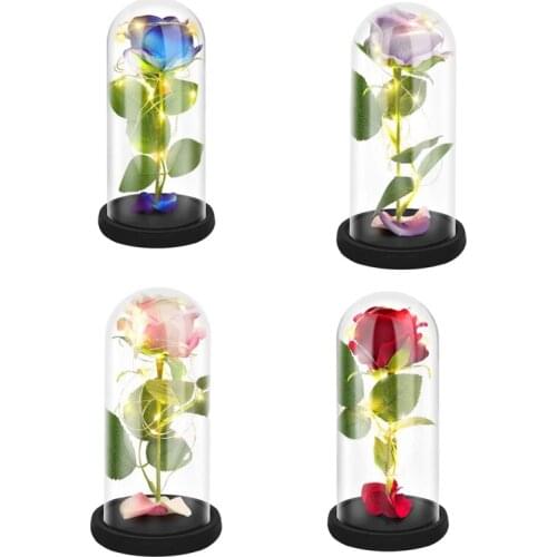 New Rose That Lasts Forever Flower with LED Light in Glass Dome for Valentines Mothers Day Birthday Women Best Gift