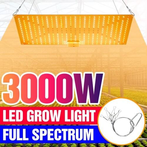 Лампы от комаров PEIQI China At AliExpress