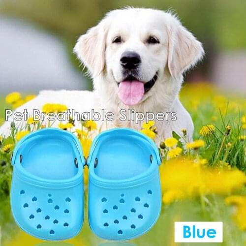 Pet Shoes Breathable Sandals For Small Dogs Candy Coloured Holey Shoes Summer Dog Shoes Breathable Mesh Puppy For Small Pet