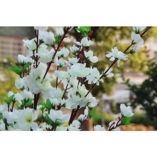 60Pcs Garden Party Decoration wedding decorations Natural Large Artificial Fabric Cherry Blossom Silk Flowers 5 Color