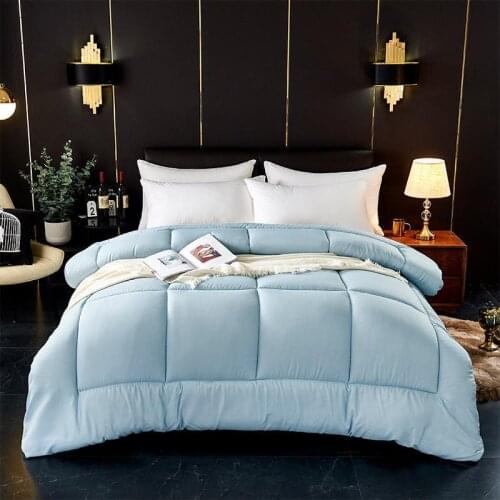 Quilt winter quilt core thickened warm single student air conditioning spring, autumn and winter four seasons universal quilt