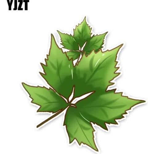 YJZT 13*11.9CM Interesting Plant Green Maple Leaf Car Stickers Accessories 11A1648