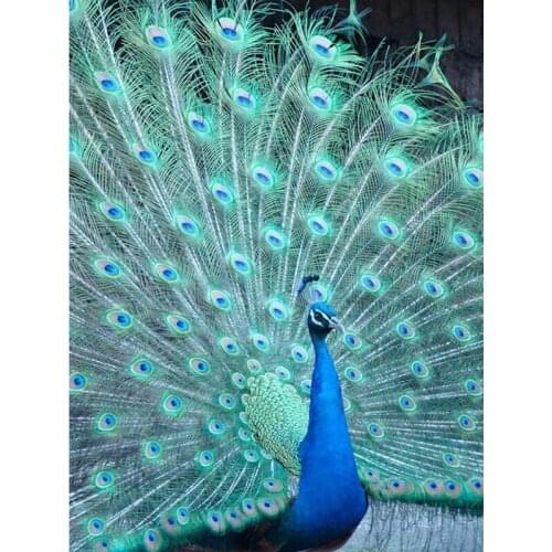 DIY 5D Diamond Painting Cross Stitch Full Round Drill Diamonds Embroidery Peacock Mosaic Painting Rhinestones Home Decor