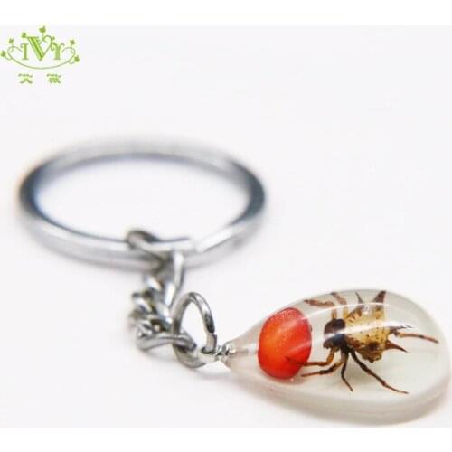 Glow In The Dark Acrylic Luminous Insect Resin Crystal Waterdrop Keychain Spider Key Chain Souvenir Gifts for Man Wallet Chain