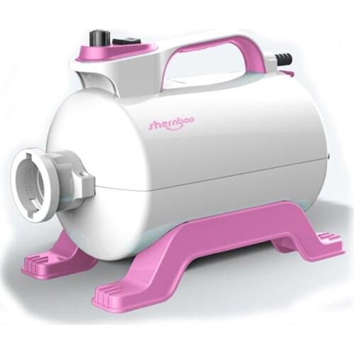 Seche Cheveux Pour Chien Low Noise Pet Dog Blow Dryer 220v Blowing Machine For Pets Dogs Cats 2200w Pink Blue Dog Dryer