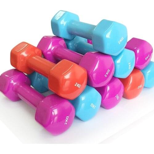 Plastic dip in dumbbell for women fitness weight dumbbells fitness dumbbells Fitness&Body Building dumbell kettlebell1.5kg*2pcs