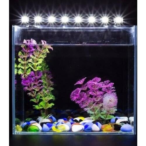 TPXCKz Lighting For Aquariums