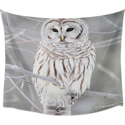 Winter Owl Branches Gray Wall Tapestry Home Wall Decor Tapestry Bedroom Tapestry Wall Hanging Picnic Mat Yoga Mat