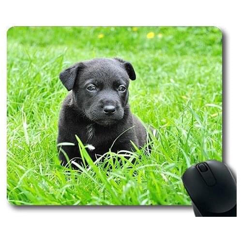 Gaming puppy dog mouse pad,Dog Puppy Animal Portrait Small Dog,dogs mouse mat