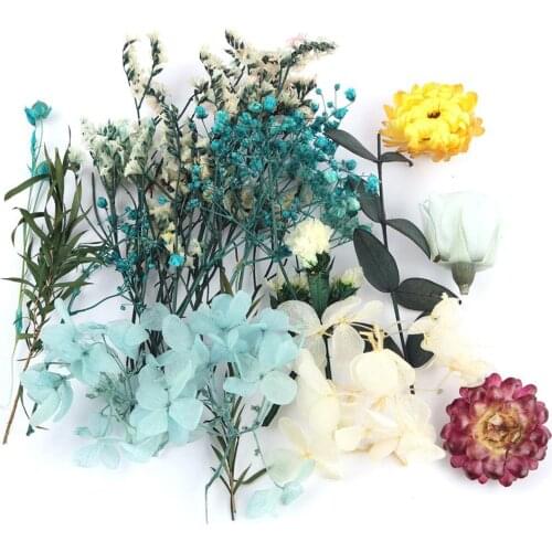 Real Dried Flower Pressed Leaves DIY For Epoxy Resin Jewelry Making