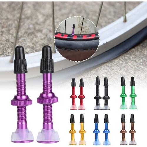 Genenic Bicycle Valves