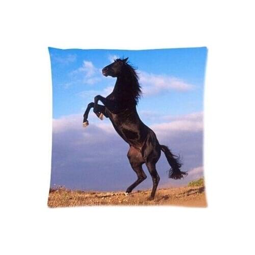 Free Shipping Awesome Cute Horse Animal Custom Square Zippered Throw Square Pillowcases 18x18 Multi-size Choice Nice Gift