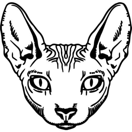 Dawasaru Sphynx Cat Animal Car Sticker Personality Sunscreen Decal Laptop Motorcycles Auto Accessories Decoration PVC,15cm*14cm