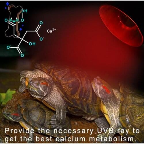 HUAN JUN SHI Light Bulbs