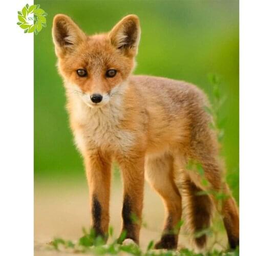 SNA 5D Diamond Painting Full Square DIY Home Decor Mosaic Rhinestone Picture Custom LOGO Canvas Wall Art fox