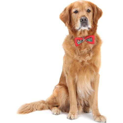 Dogi & Dog Dog Accessories