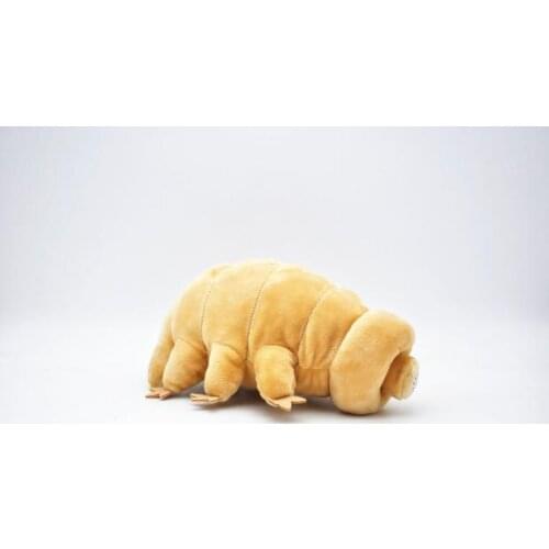 Plush toys children cute Simulation armadillo simulation doll toy gift