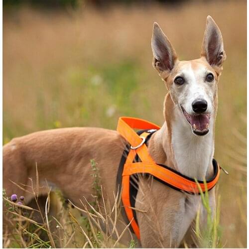 Reflective Puppy Pet Dog Harness Collar High Quality Nylon K9 Dog Harness No-Pull Design Pet Dog Vest Harness Pet Supplies S-XL