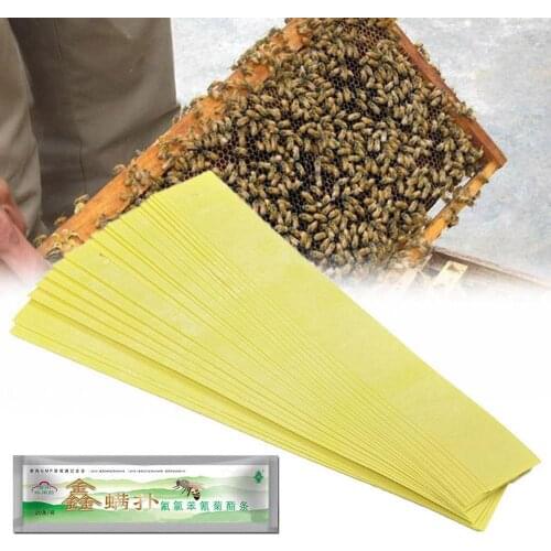 Professional Bee Acaricide Against The Bee Mite Strip Beekeeping Medicine Bee Varroa Mite Killer & Control Beekeeping Medicines