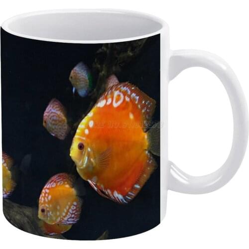 Brain Patterns on Me. White Mug Vintage Mug New Unisex Size Mug Fish Nature Discus Fish