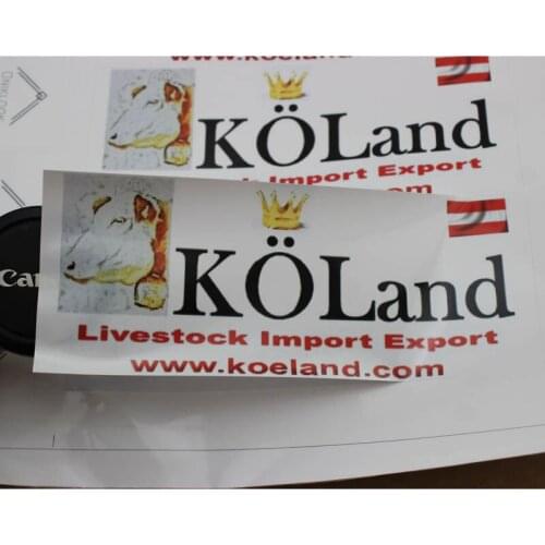 Customized high quality OEM design your own personalized bottle stickers with kinds of materials and surface finnishing