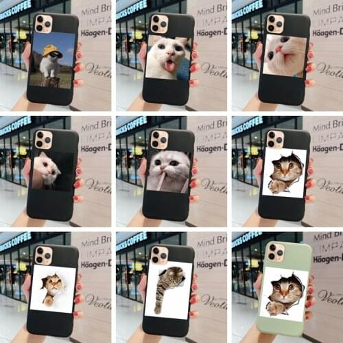 Silica For Y9 2019 Prime Y7 2018 Y6 Y6pro Case Cover Cat Cartoon Animal Colorful Edging Matte Smooth Funny Trend Thin