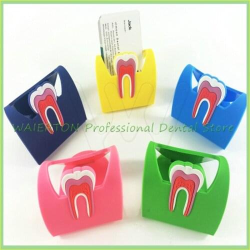 1pc Cute Dental Card Holder Colorful Rubber Teeth Molar Shape Phone Card Name Storage Dsiaply Stand For Clinic Dentist Gift