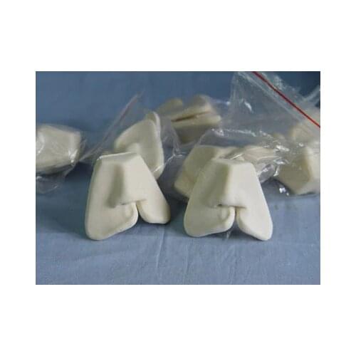 Lip repair model of oral cleft lip repair model of oral surgery