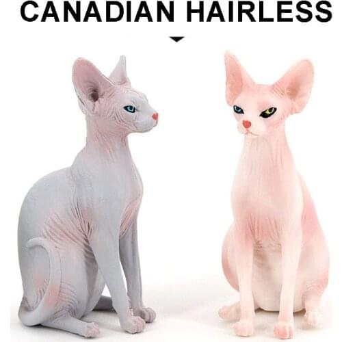 New Canadian Hairless simulation Cat Animal Model Home Table Decoration Cat Doll Ornaments Ornaments for Children Kids gift