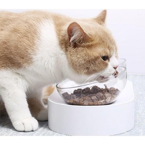 PETKIT Nonslip Dishwasher Safe Cat Pet Bowl feeding with Stand Stress Transparent Tilted Raised for Cat Small Dog pet supplies