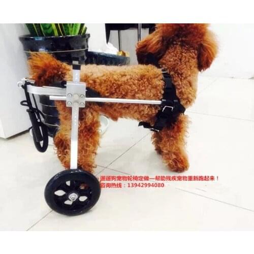 OLN Trainers For Dogs