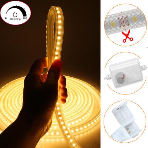 Super Bright Leadless strip Dimmable AC 220-240V LED Strip Light 1M - 20M Kitchen Outdoor Garden Lamp Tape IP66 Flexible lamp