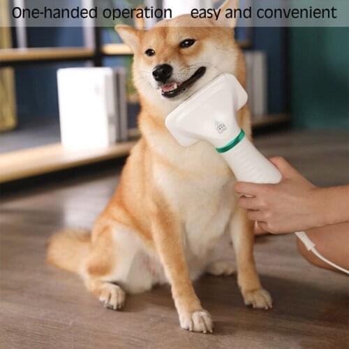 2021 Hot EU Plug 2-In-1 Portable Dog Dryer Dog Hair Dryer And Comb Brush Pet Grooming Cat Hair Comb Dog Fur Blower Low Noise